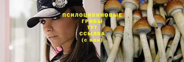 МДПВ Нефтегорск