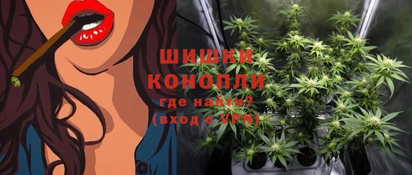 МДПВ Нефтегорск